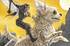 vignettes/news/event-imaginales-2025.webp