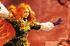 vignettes/news/ro-1-3-1.webp
